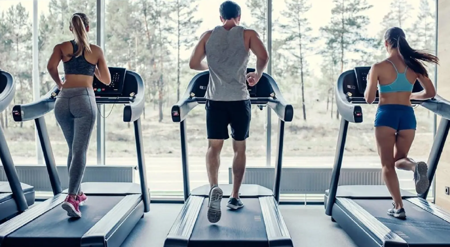 Best Treadmill for Gym 