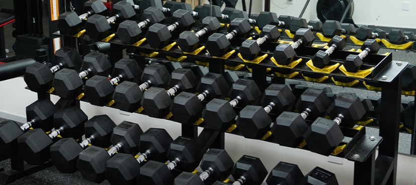 Wholesale Dumbbells