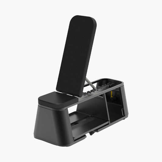 Adjustable Dumbbell Storage Dench