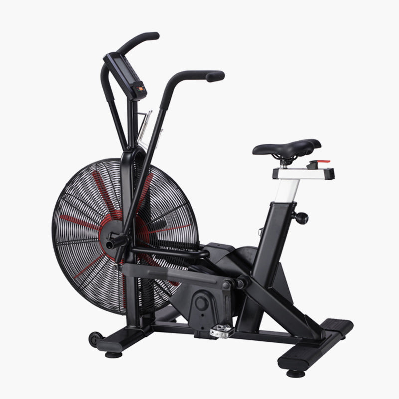 TOPKO Home Silent Exercise Bike Sports Bike