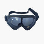 Ski goggles