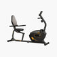 Recumbent Bike