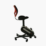 Multifunctional Whole Body Training Dumbbell Chair