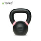 Electrostatic Spray Kettlebell