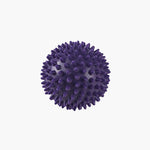 PVC Spiky Ball