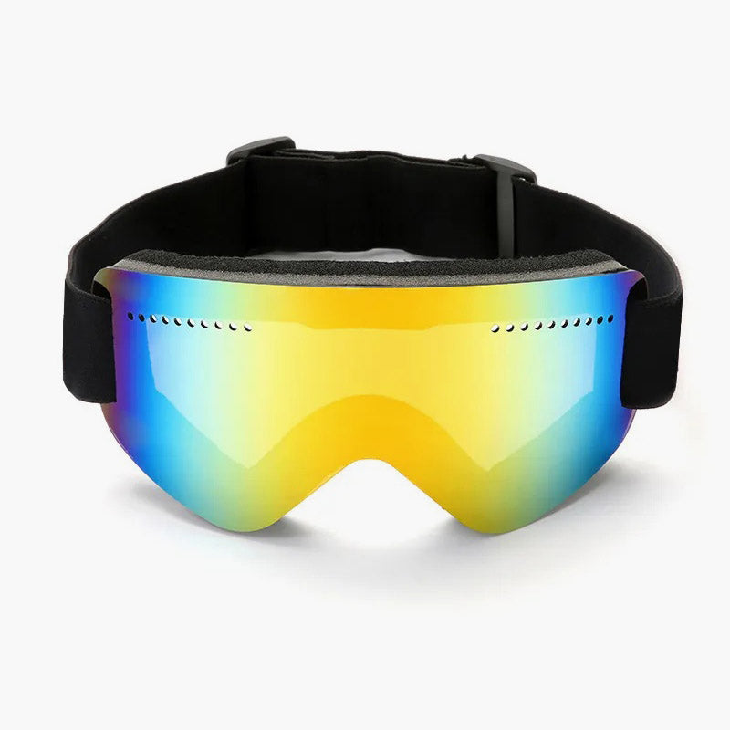 Ski goggles
