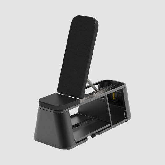 Adjustable Dumbbell Storage Dench