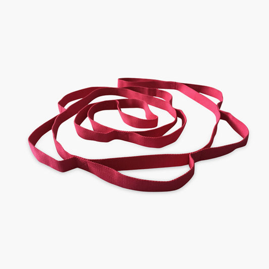 TOPKO 12 Loops Yoga Stretch Strap