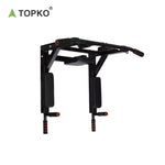 Wall Mounted Chin up bar