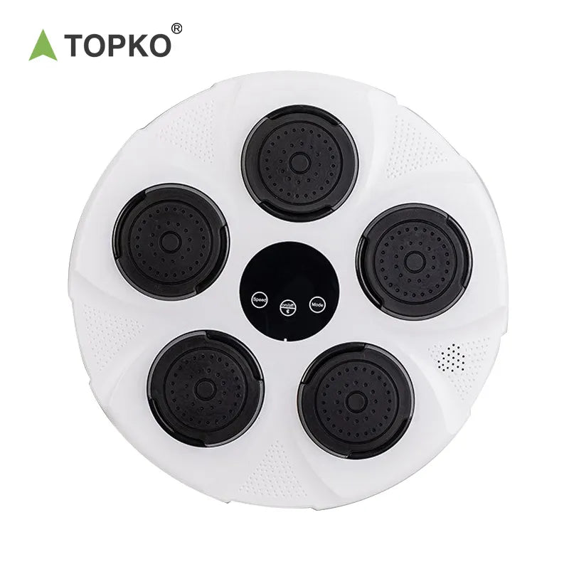 Music Boxing Target